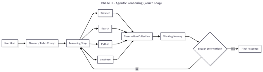 Phase 3: Agentic Reasoning and Tool use